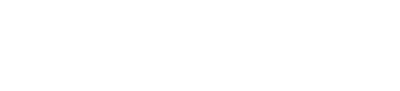 Fijn-Online-logo-wit