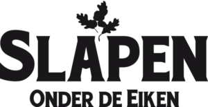 Logo-Slapen-ODE-768x396