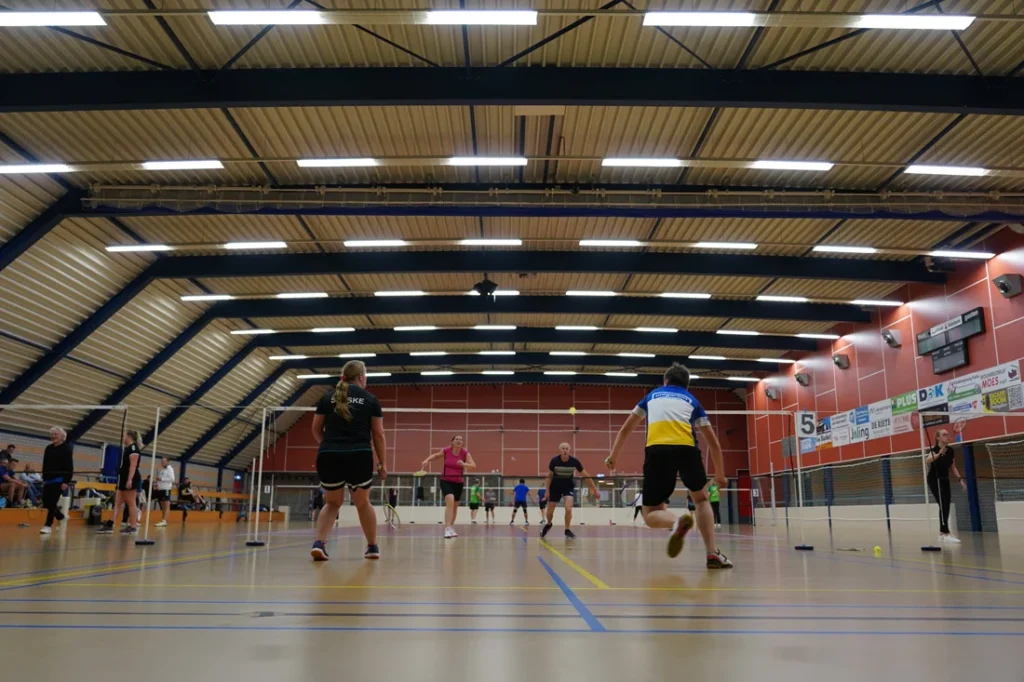 Badmintondwingeloo-project Fijn-Online